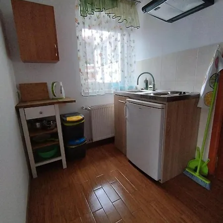 Apartament Jaskółka Lądek-Zdrój Zewnętrze zdjęcie